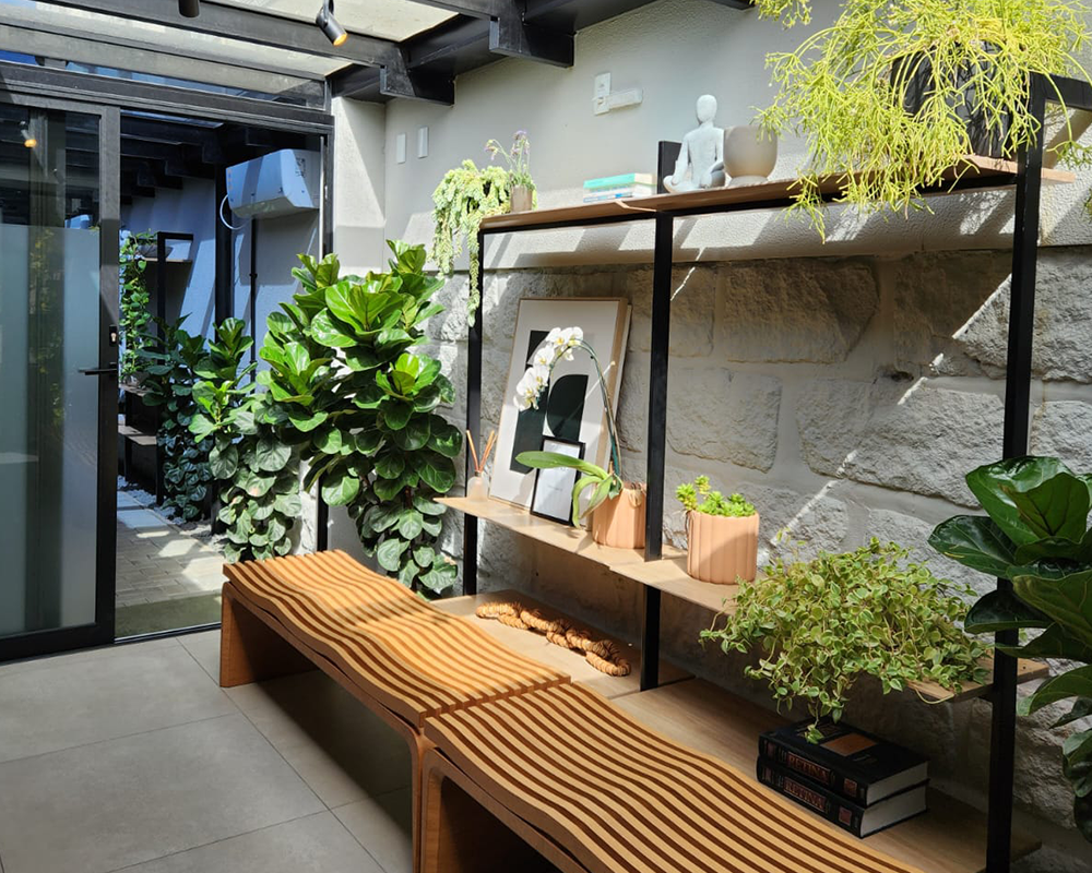 Jardim interno com plantas e banco de madeira